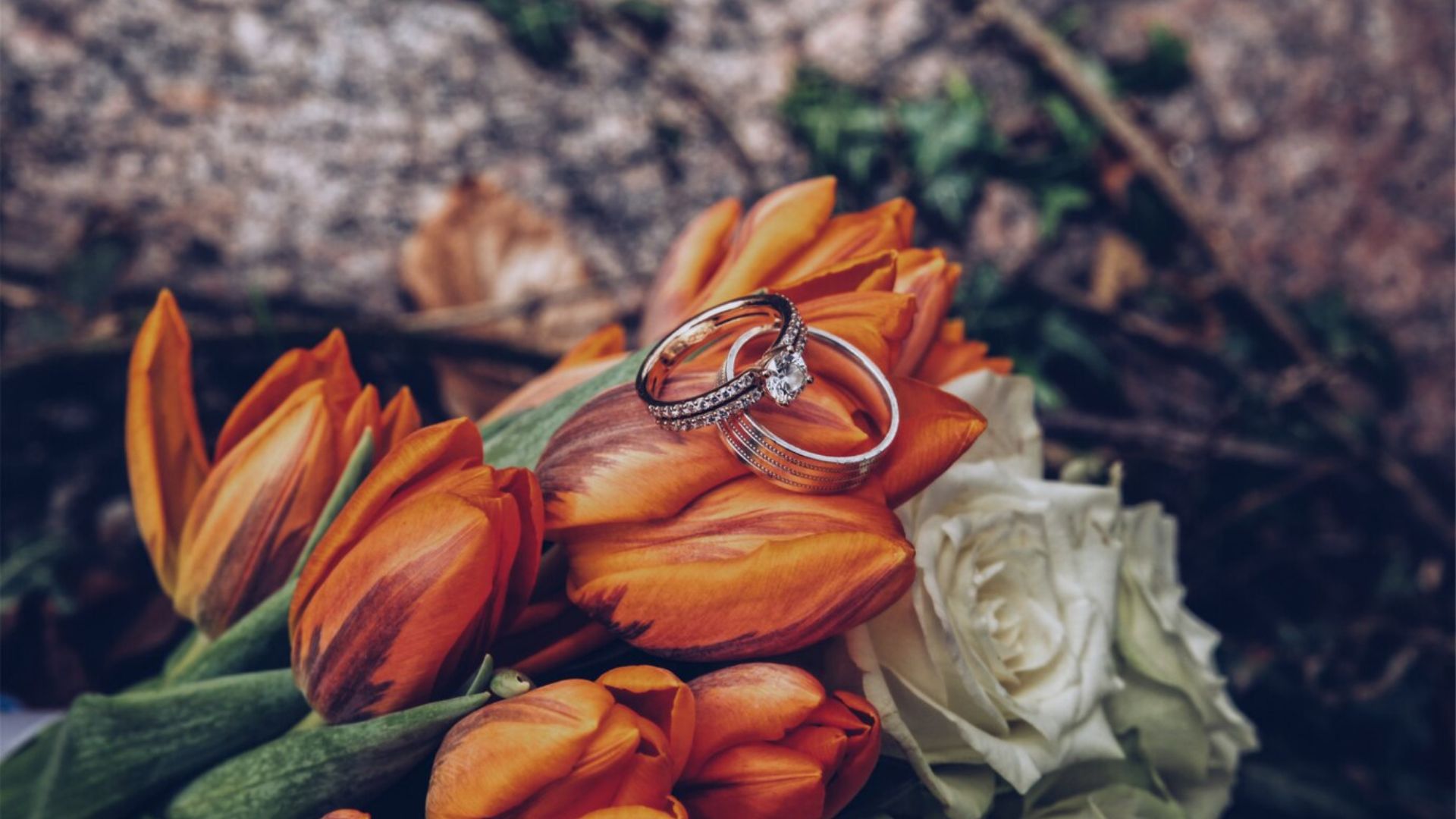 silver diamond rings on orange tulips and white roses